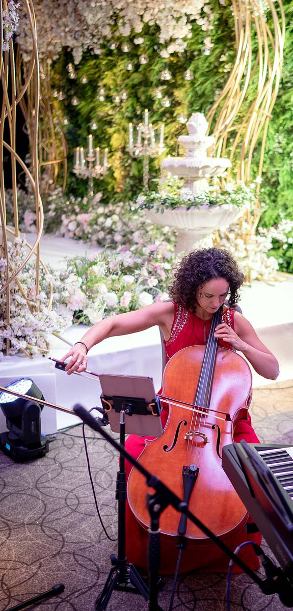 Live strings for the guests as the evening begins